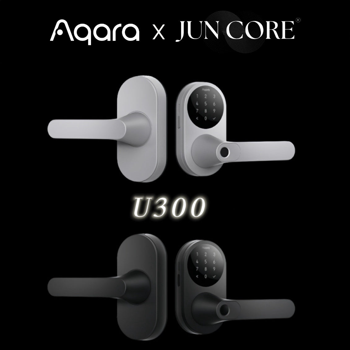 Smart Door Lock · Lever Lock · U300